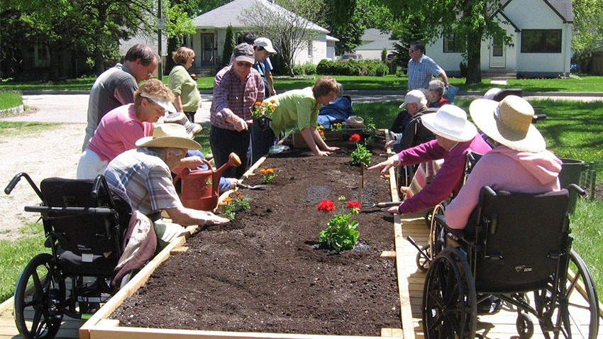 باغبانی برای سالمندان با محدودیت حرکتی